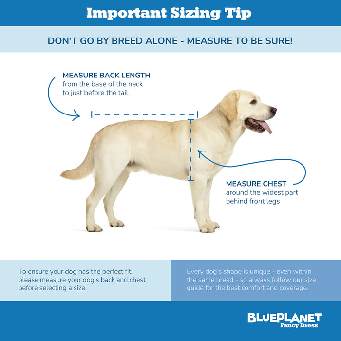 2 Pack Dog Jumper Costume Outfit Puppy Dogs Coat Sweater S-XXL Sizes Red Green