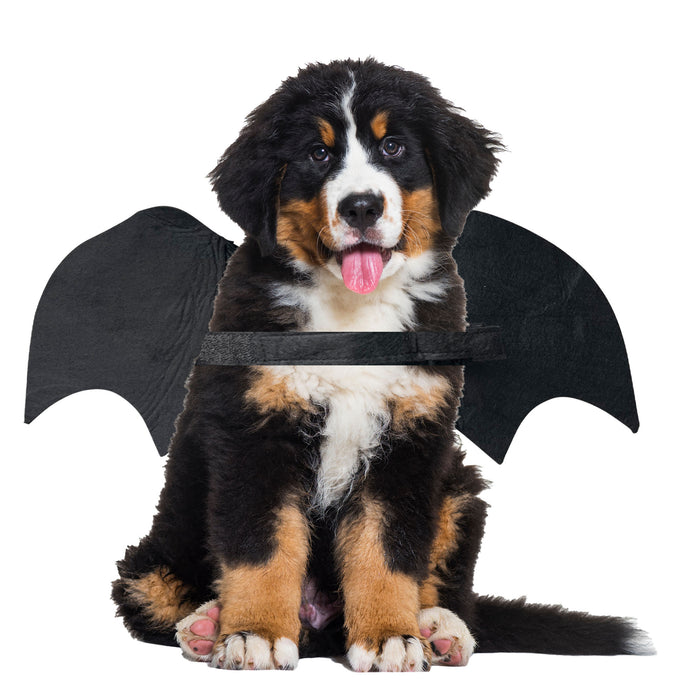 Halloween Dog Cat Bat Wings for All Breeds and Sizes