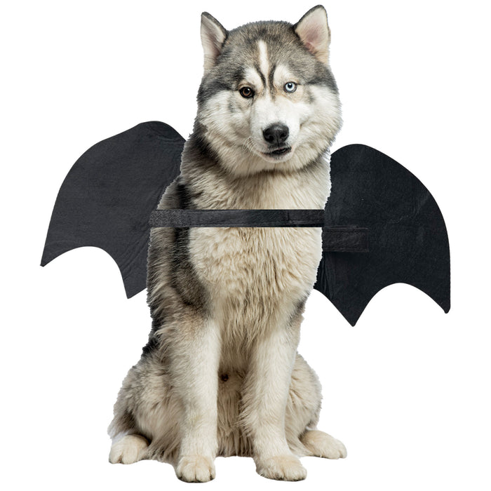 Halloween Dog Cat Bat Wings for All Breeds and Sizes