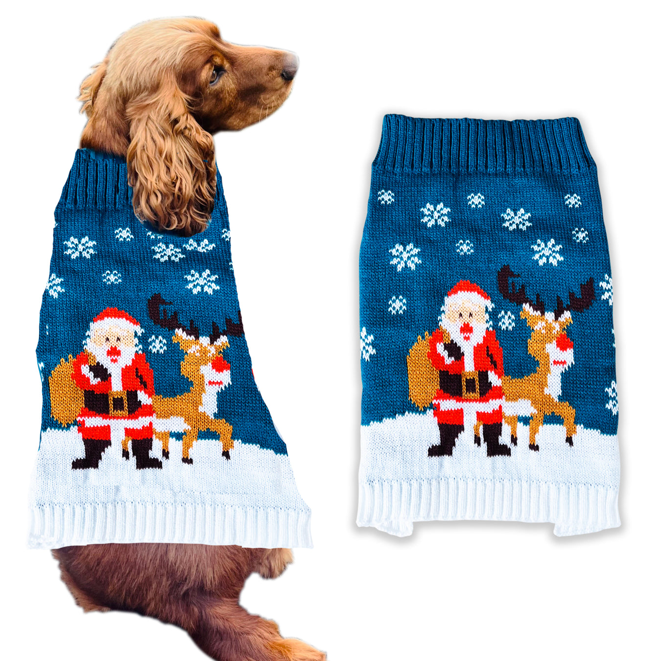 Pet Jumpers